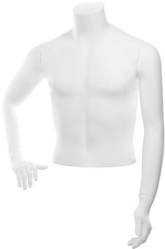 Купить C-13-01M \ Торс мужской BASIC, укороченный C-13-01M \ Торс мужской BASIC, укороченный – купить